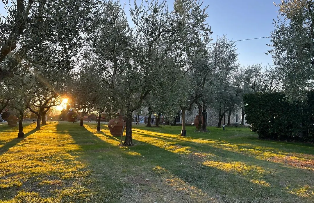Agriturismo Podere Campiglia-1